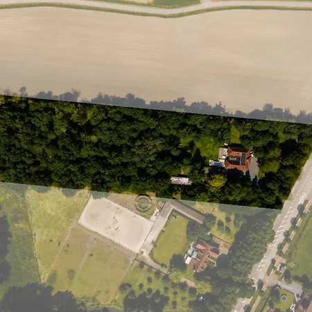De Rietreiger-3